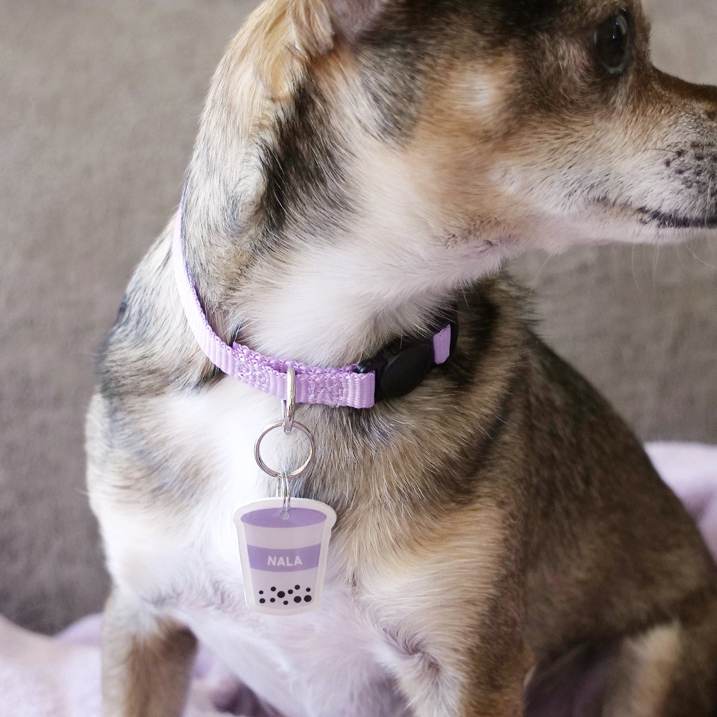 Boba Pet ID Tag - Pixsqueaks