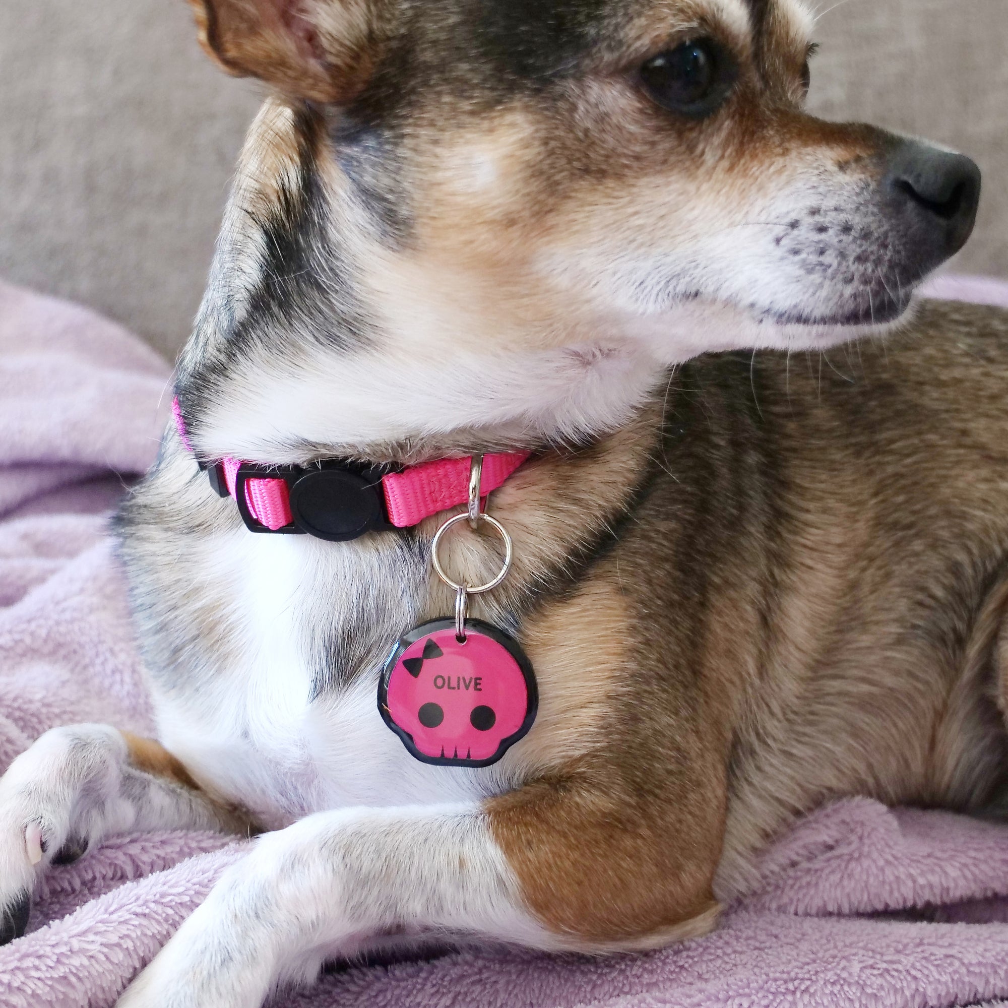 Cute Punk Skull Pet ID Tag - Pixsqueaks