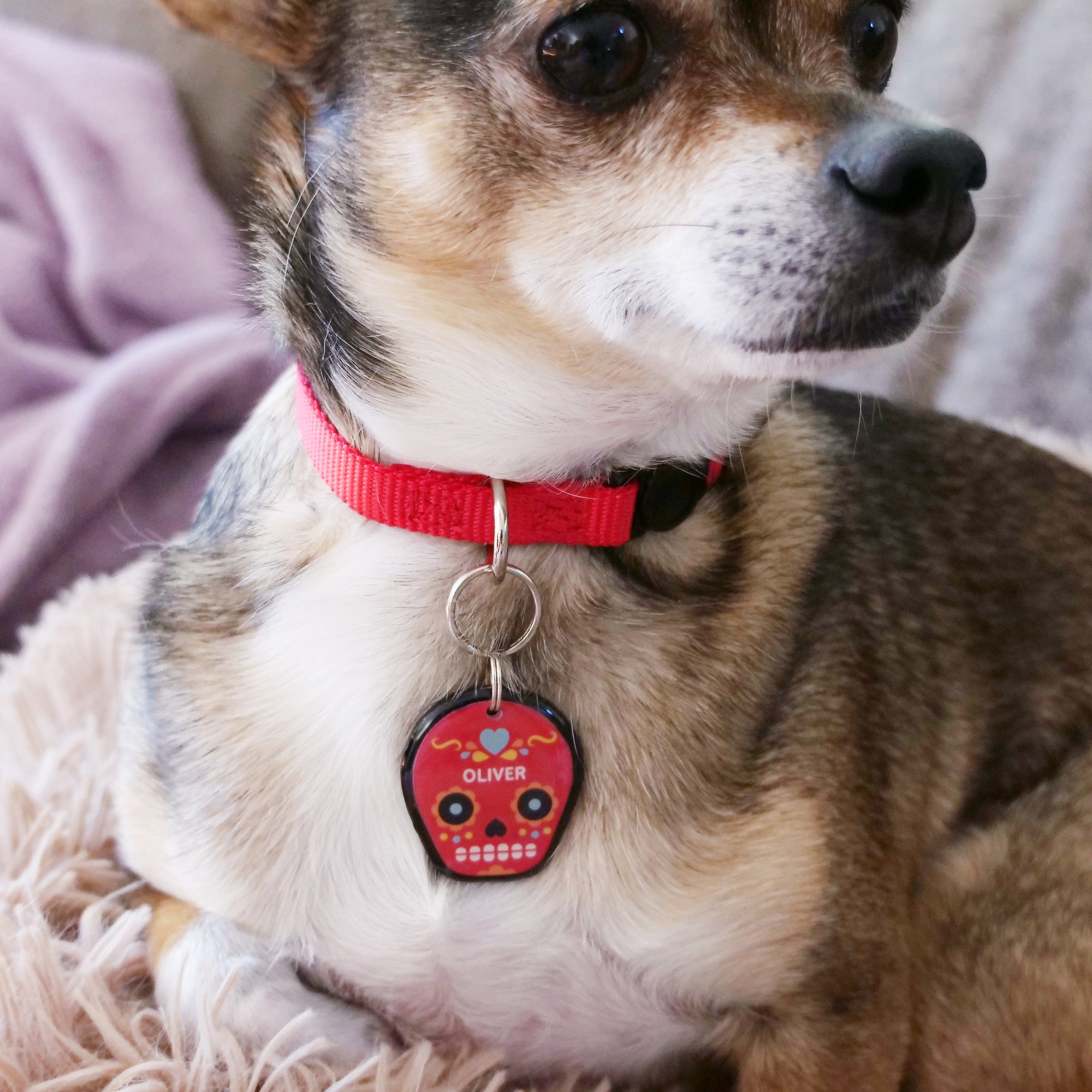 Day of the Dead Skull Pet ID Tag - Pixsqueaks