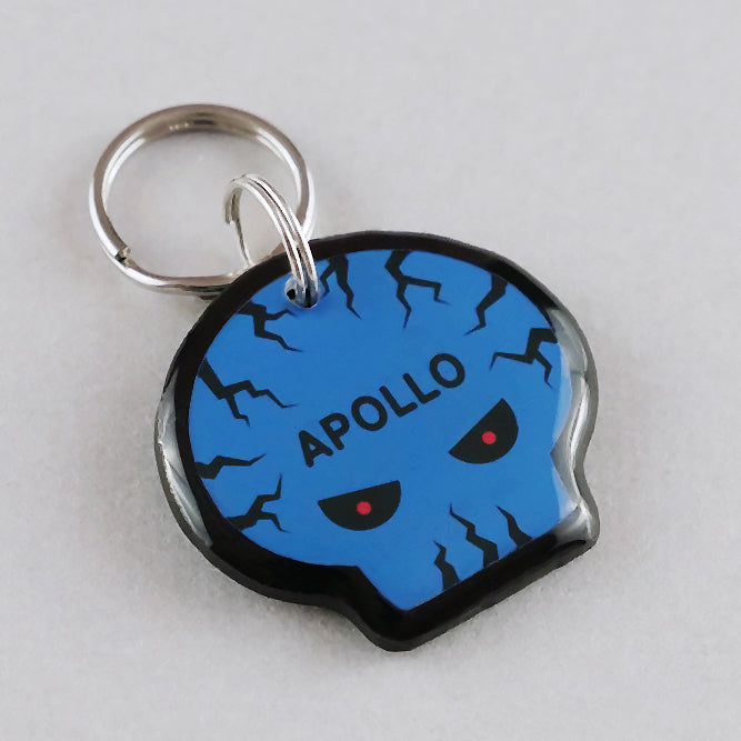 Evil Skull Pet ID Tag - Pixsqueaks