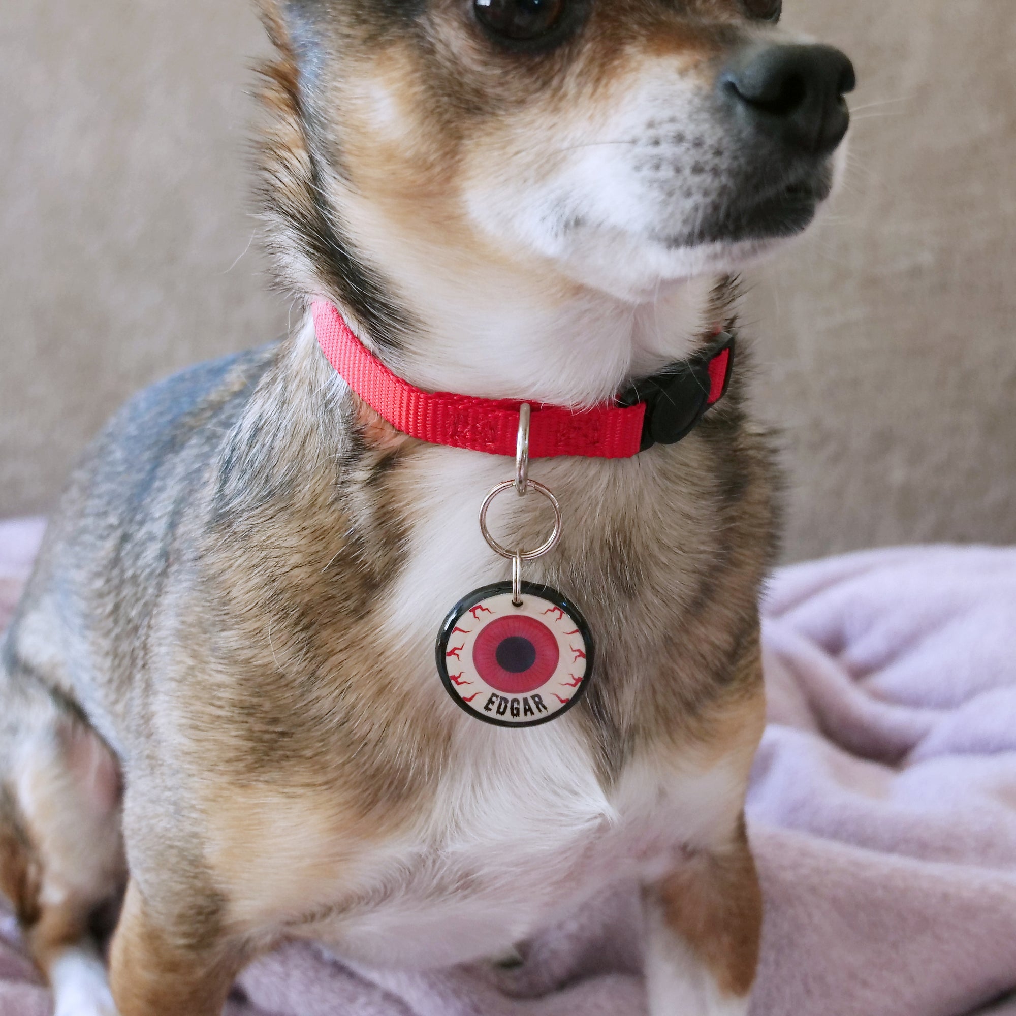 Eyeball Pet ID Tag - Pixsqueaks