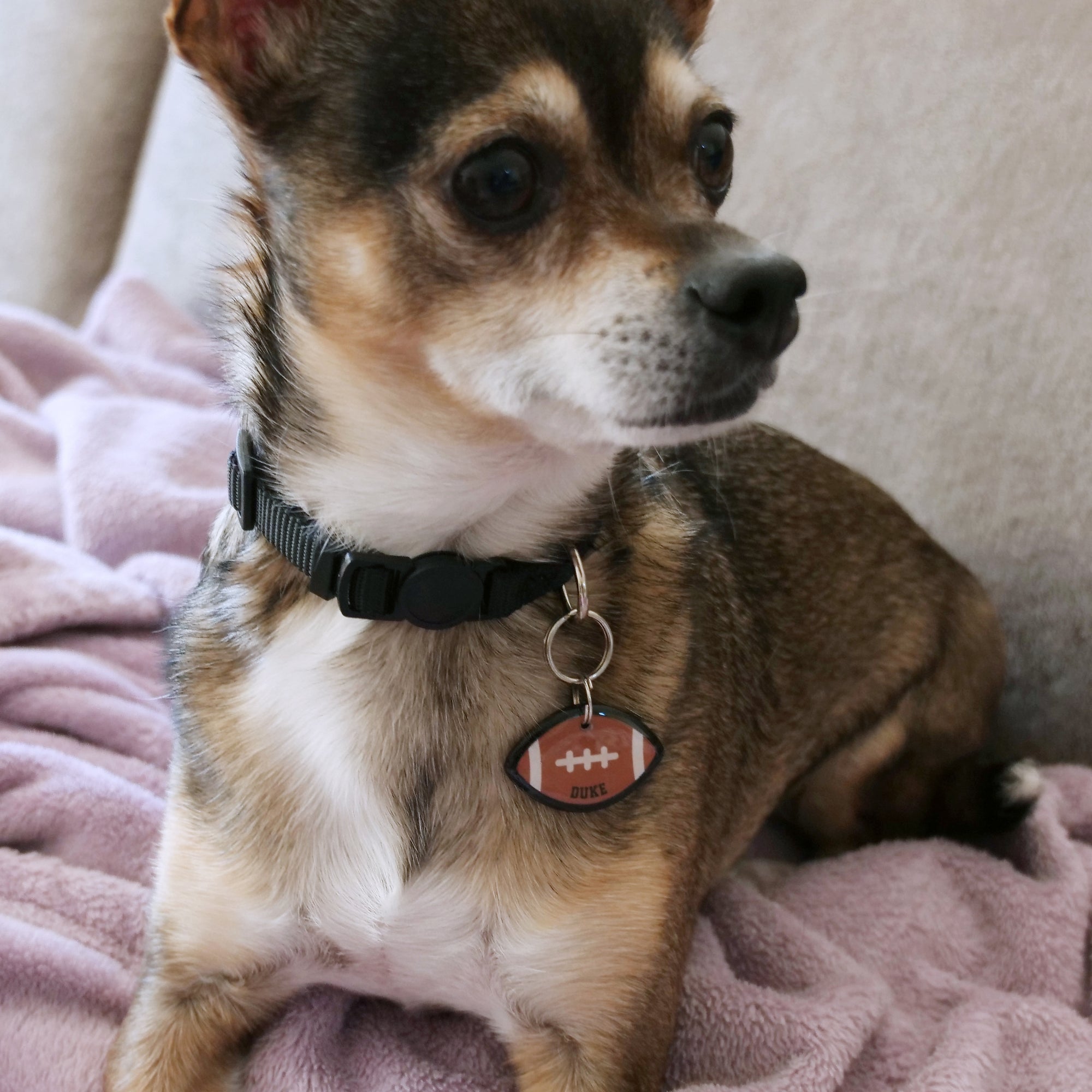Football Pet ID Tag - Pixsqueaks