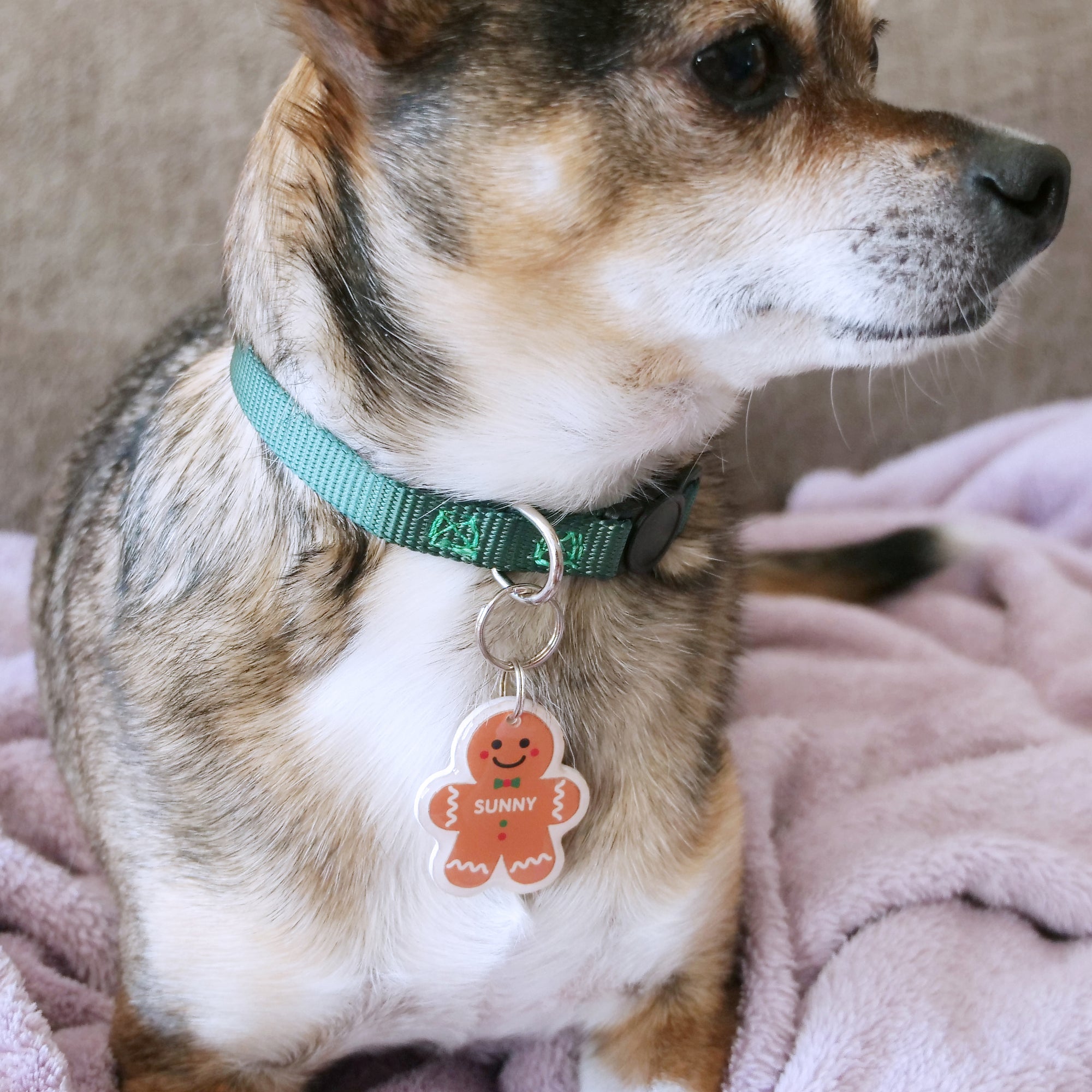 Gingerbread Man Pet ID Tag - Pixsqueaks