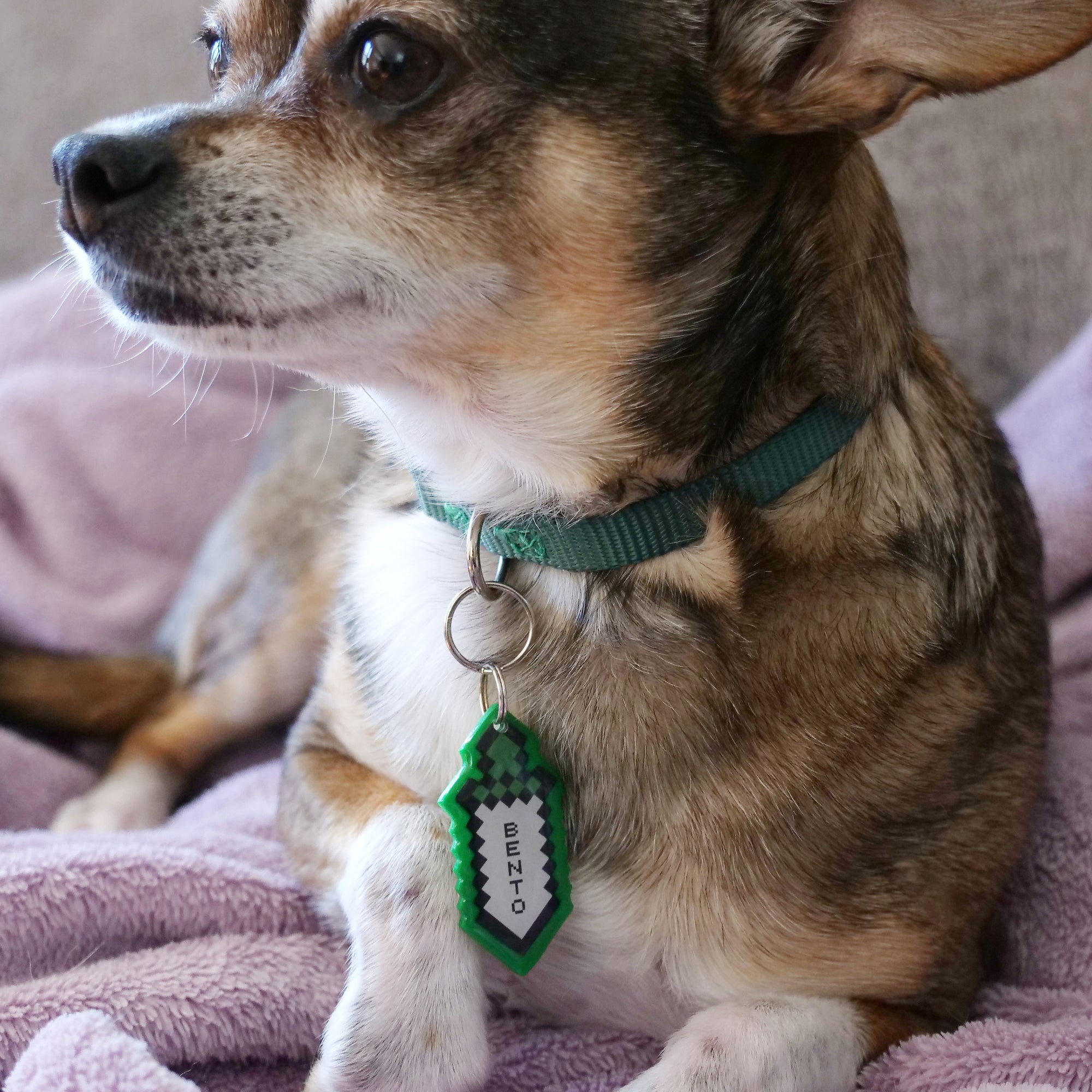 Pixel Sword Pet ID Tag - Pixsqueaks