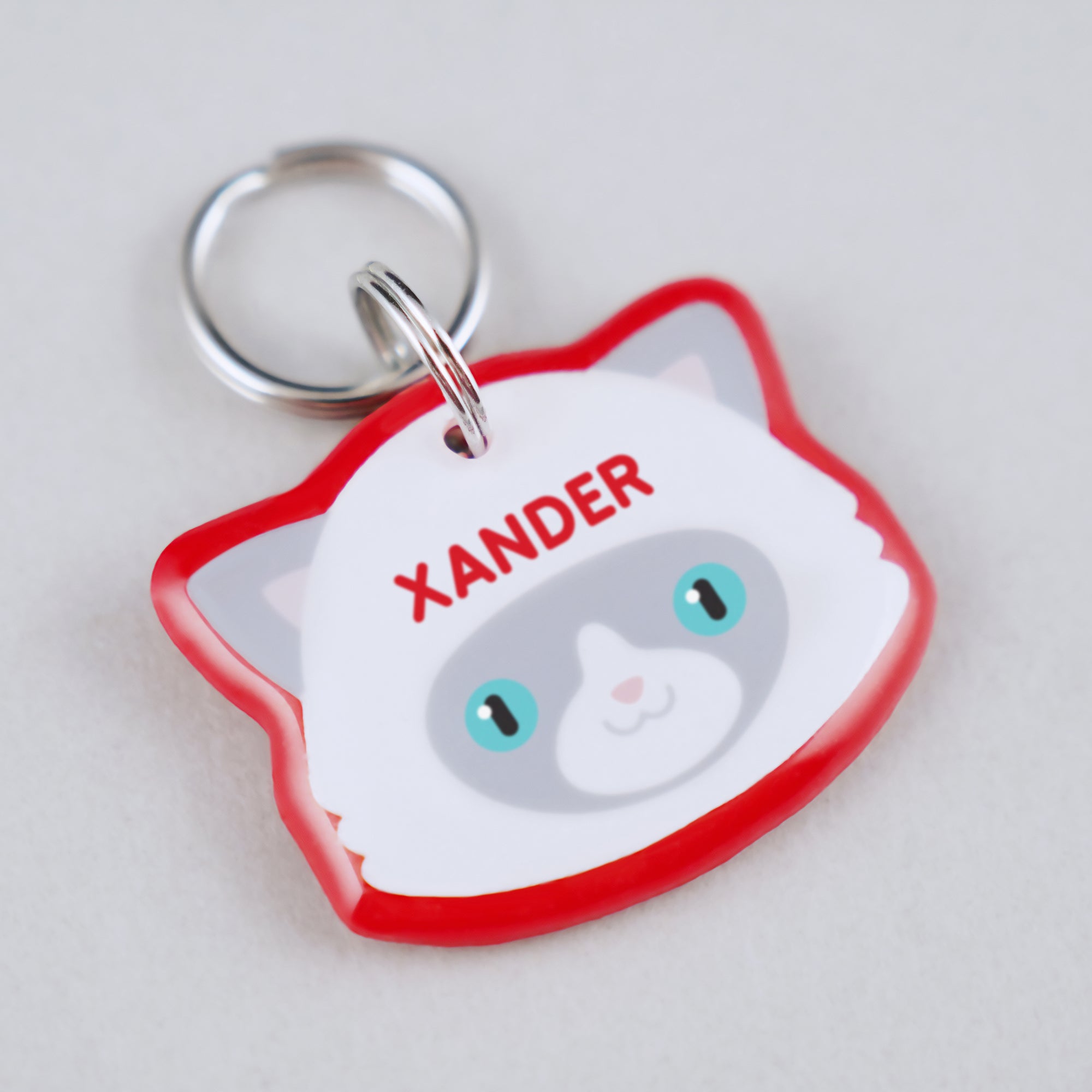 Ragdoll Cat ID Tag - Pixsqueaks