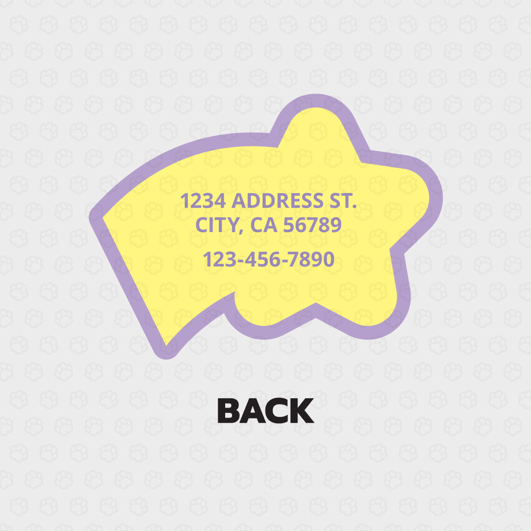 Shooting Star Pet ID Tag - Pixsqueaks