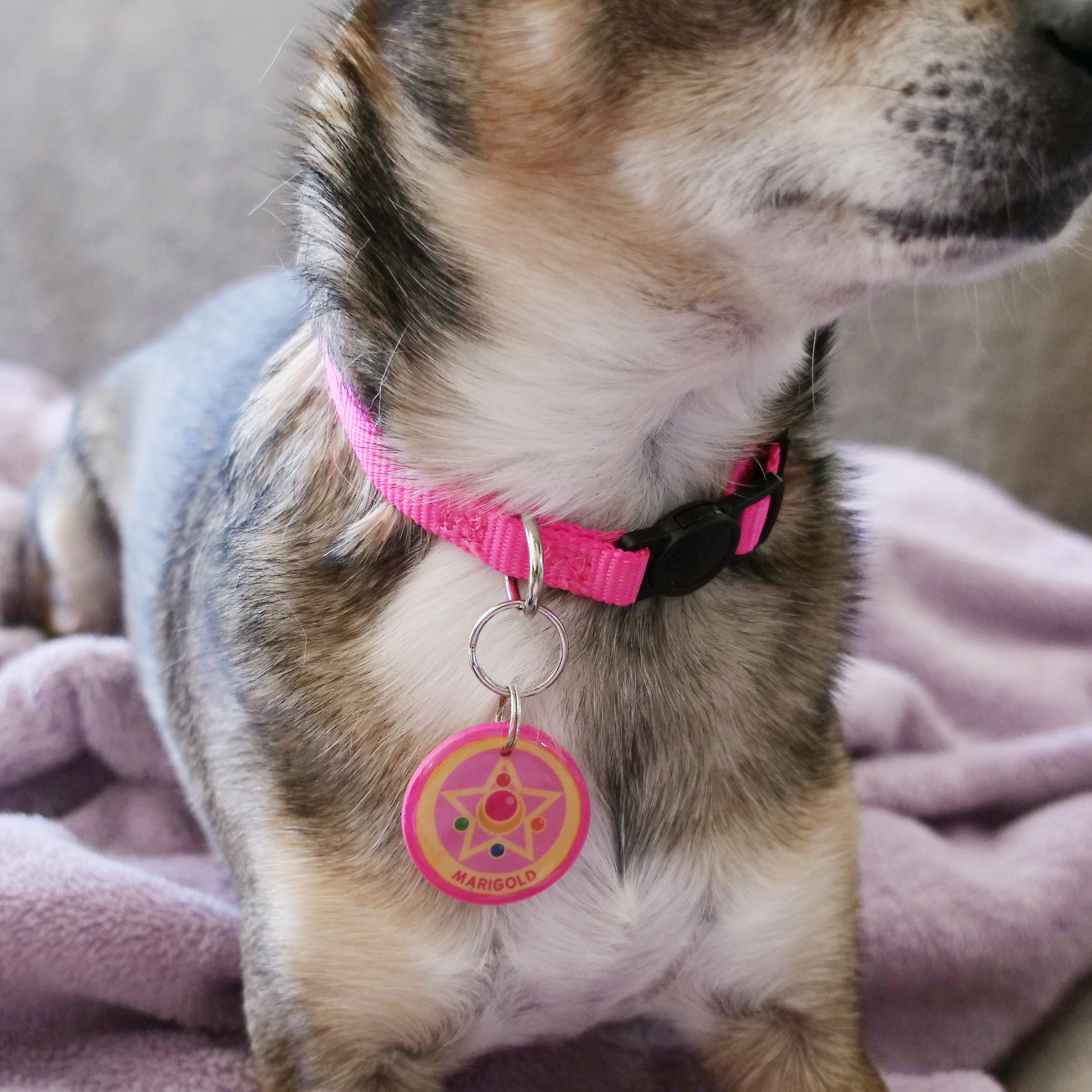 Custom Moon And Stas Dog Tag - Etsy
