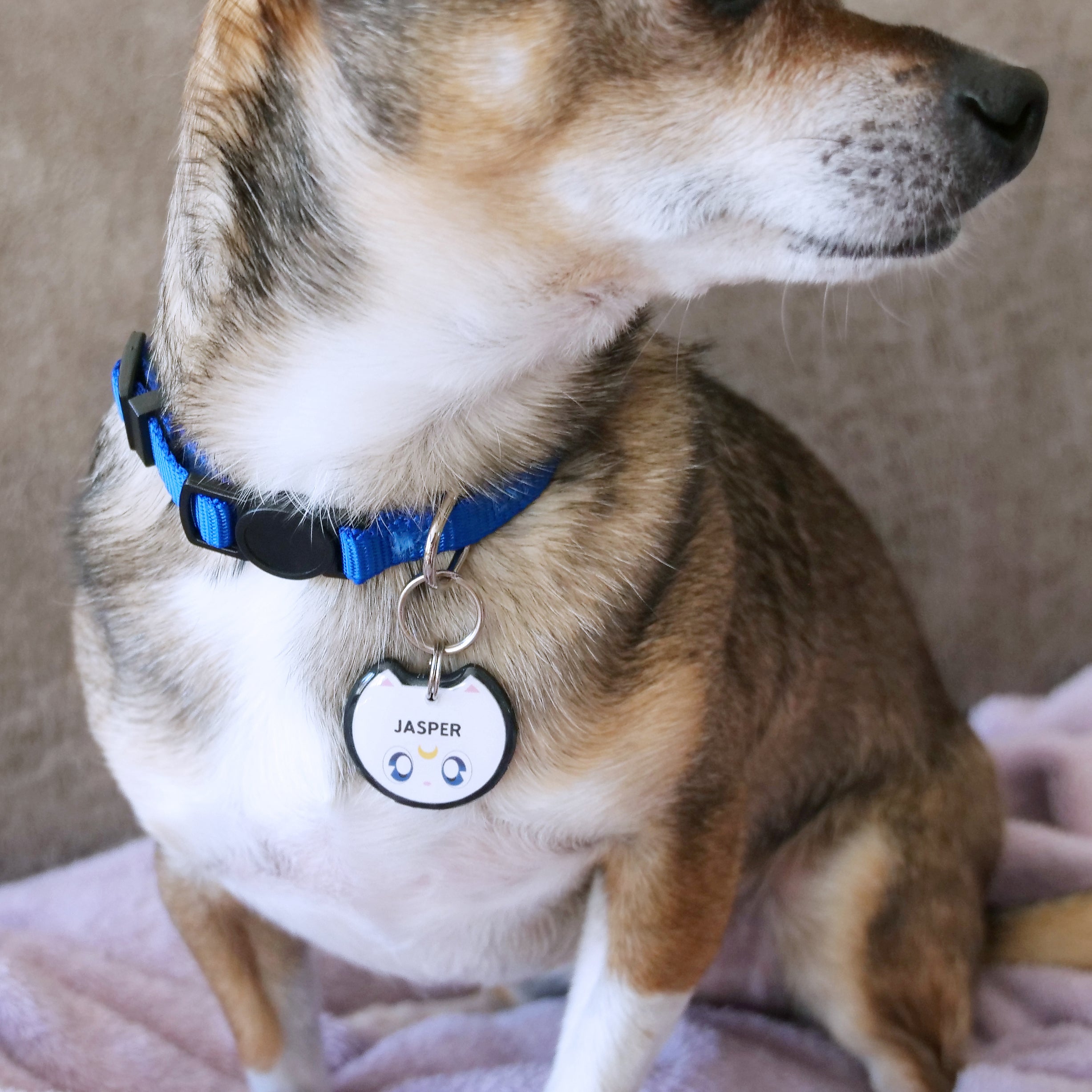 Celestial Guardian Cat ID Tag