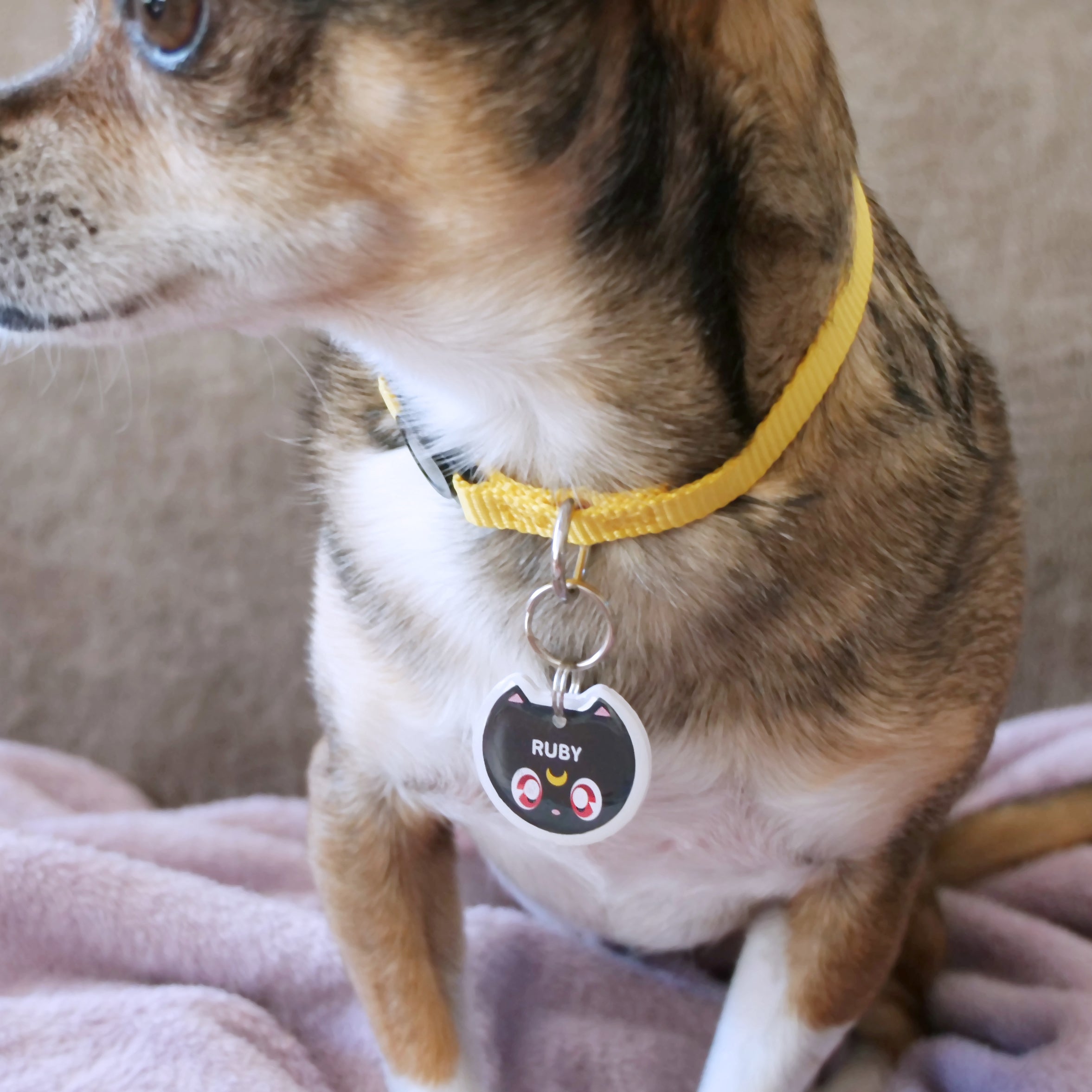 Moonlight Guardian Cat ID Tag