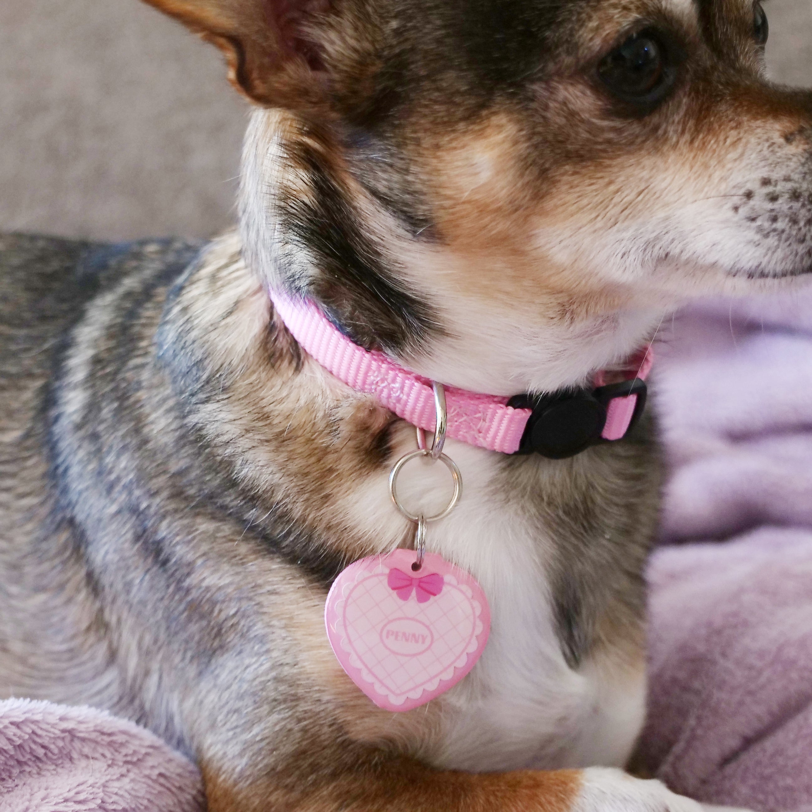 Quilted Pocket Heart Pet ID Tag