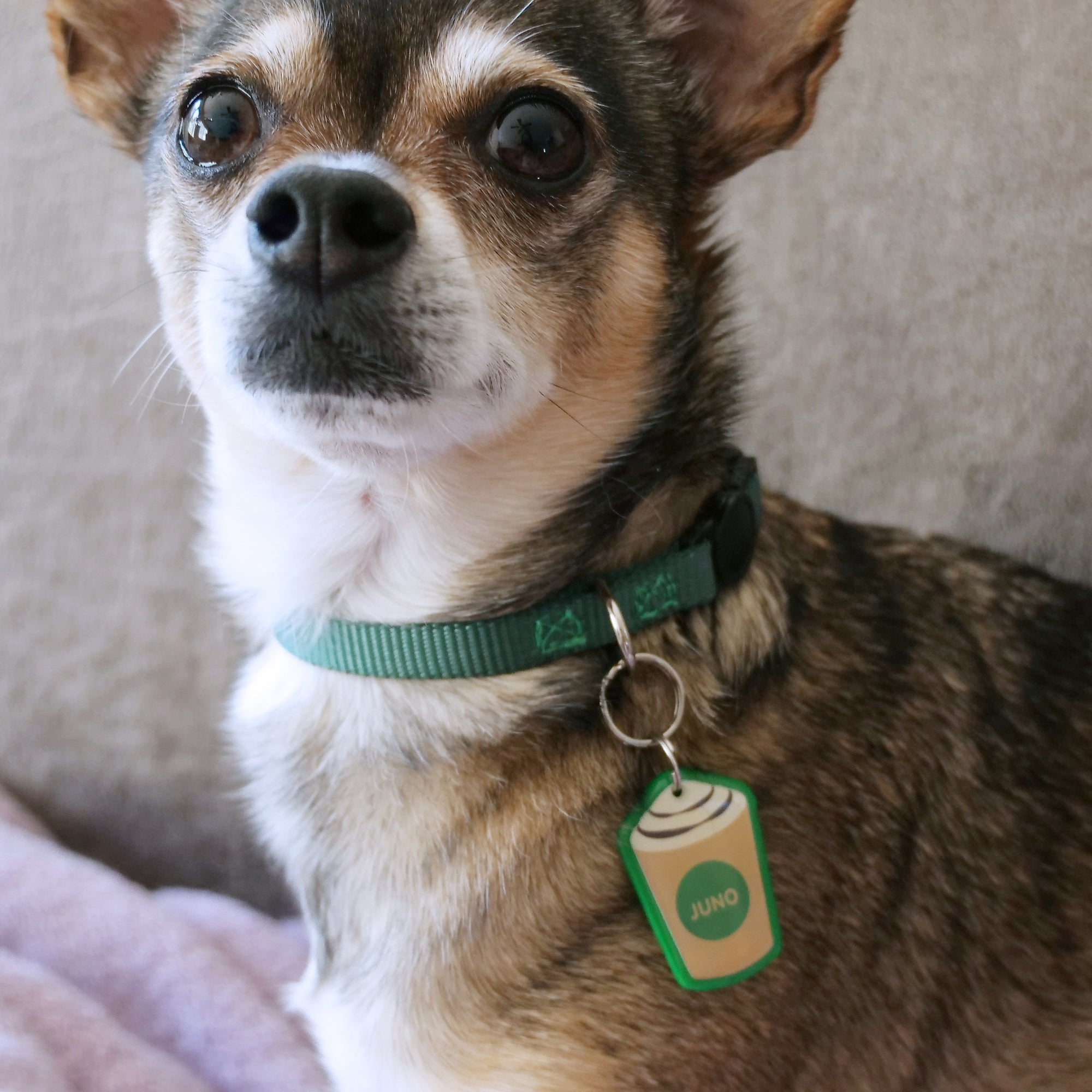 Sweet Iced Coffee Pet ID Tag