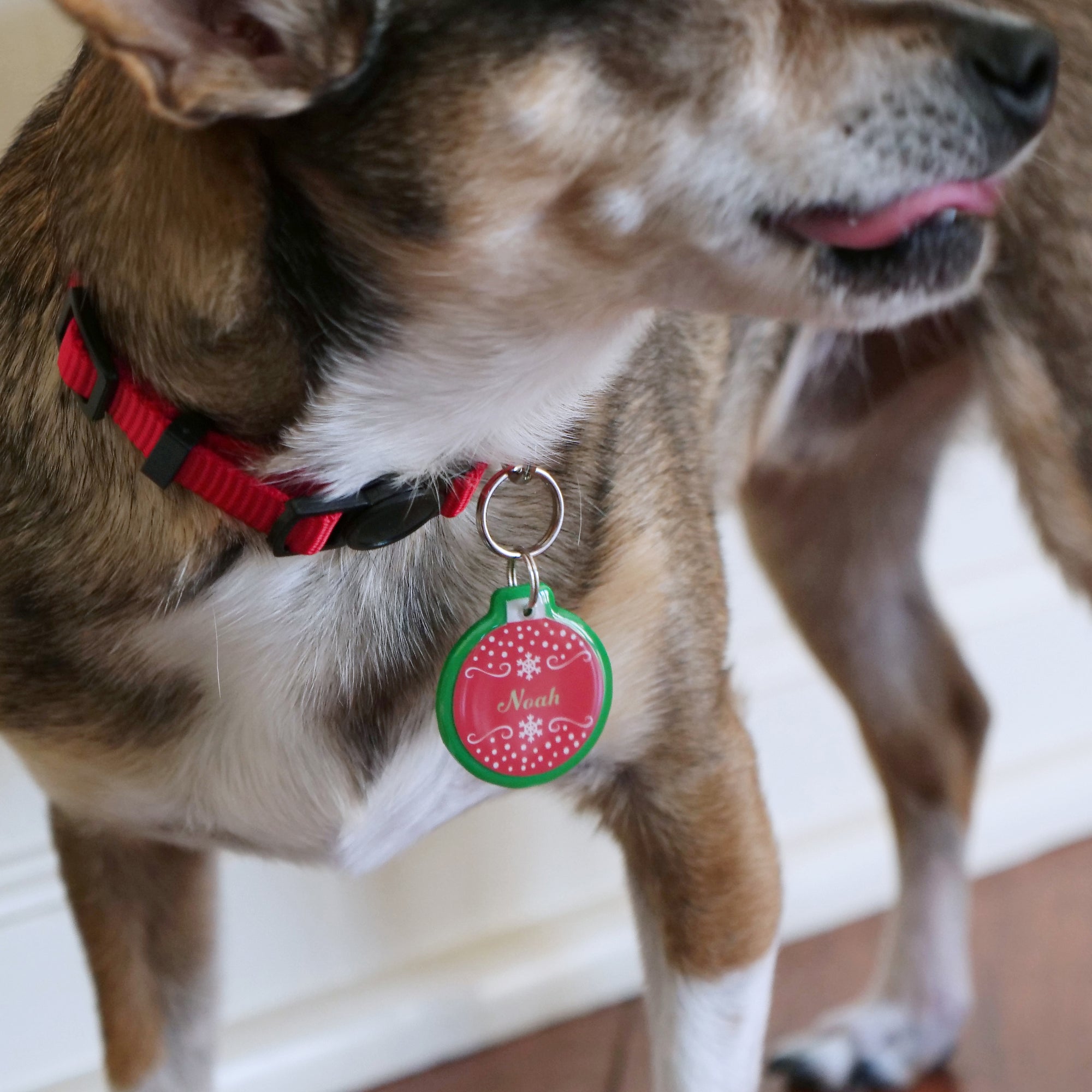 Christmas Ornament Pet ID Tag - Pixsqueaks
