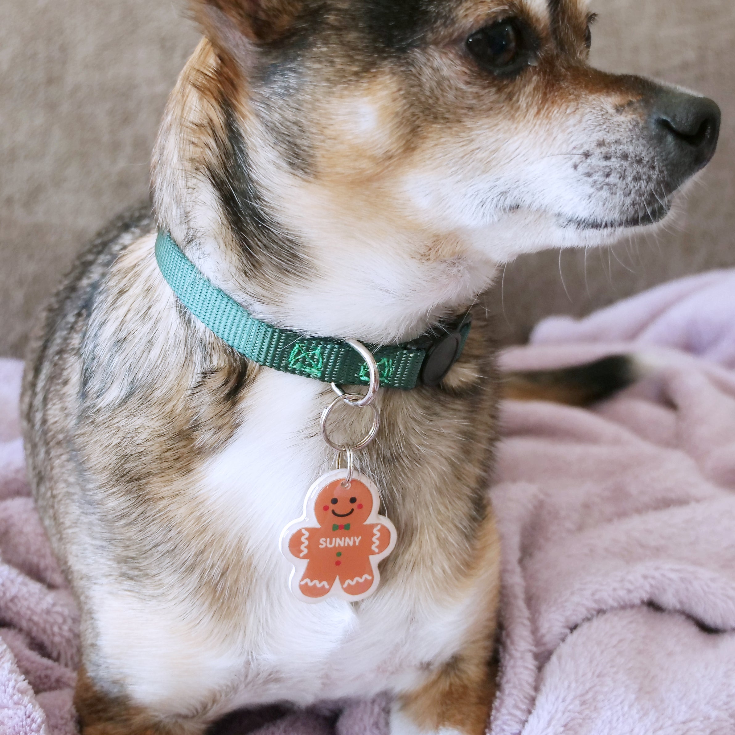 Gingerbread Man Pet ID Tag - Pixsqueaks
