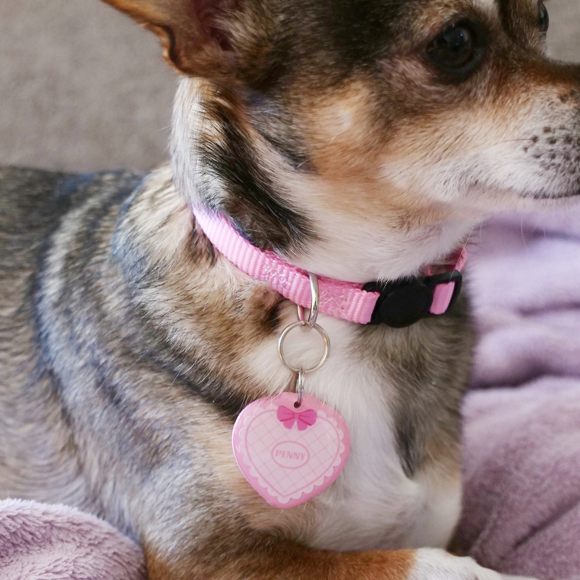 Quilted Heart Pet ID Tag - Pixsqueaks
